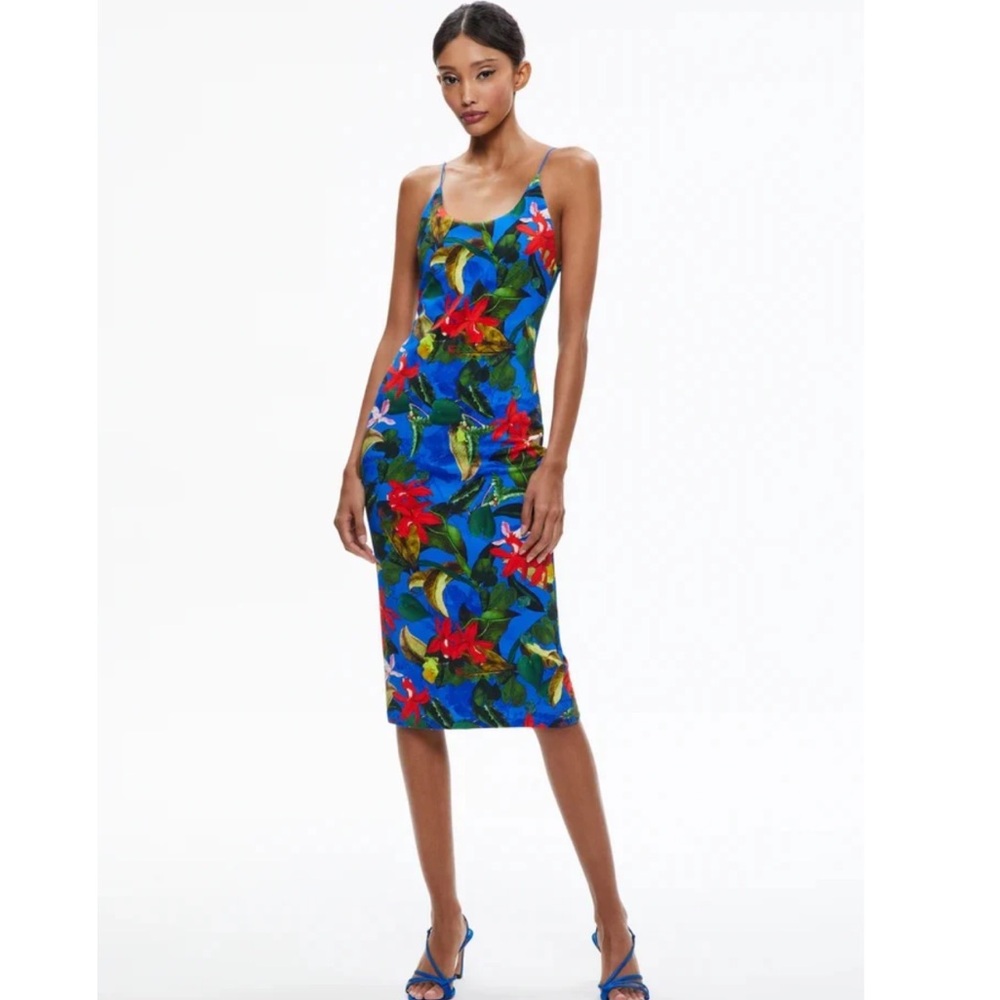 Alice + Olivia Delora Printed Dress